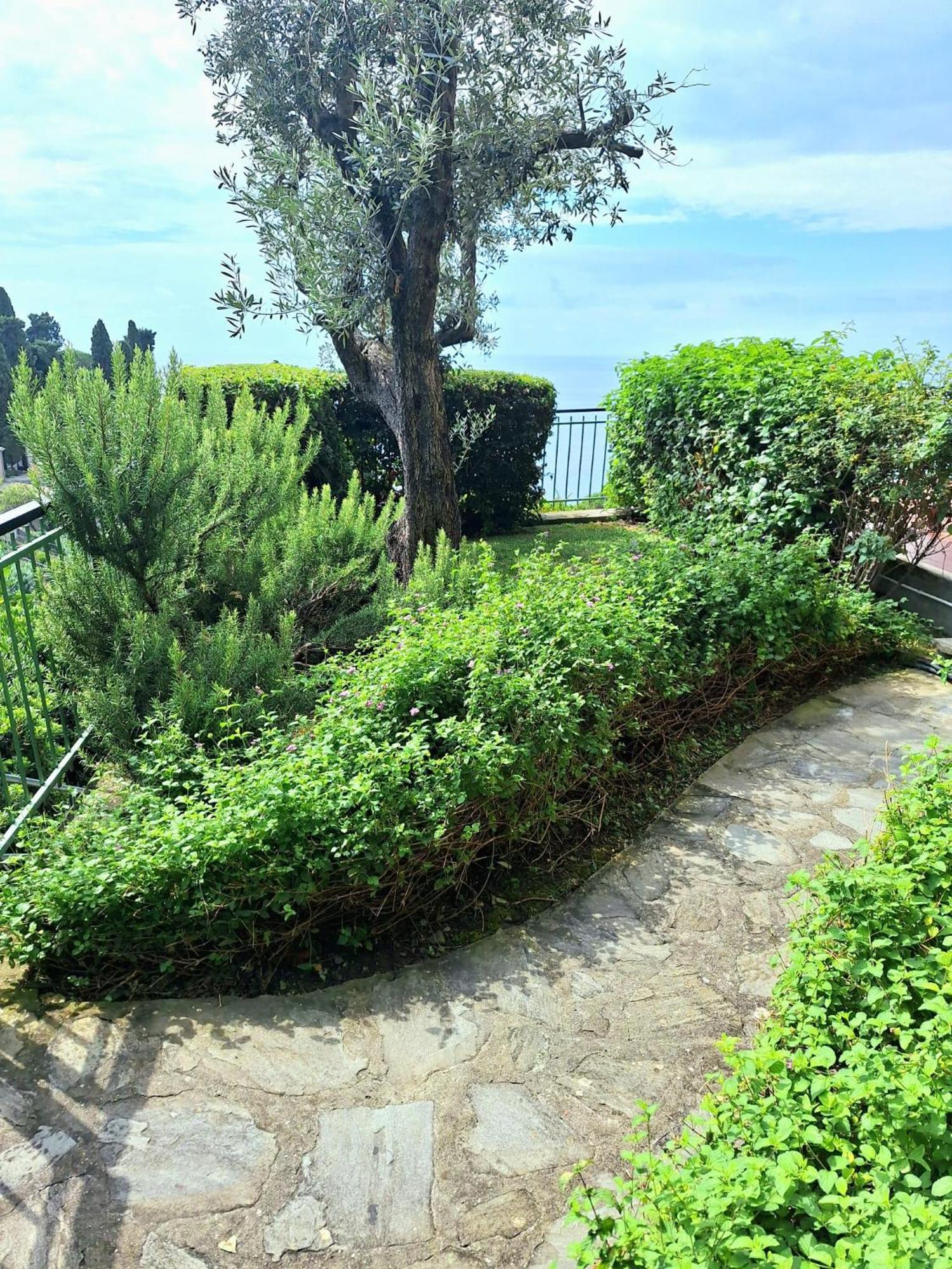 Casa Angelo Lägenhet Recco Exteriör bild